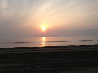 IMG_3756.jpg