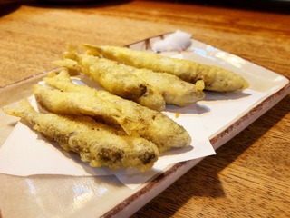 IMG_4195.jpeg